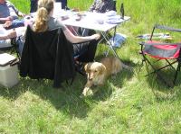 P6040007.JPG - 2006:06:04 12:47:48