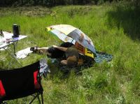 P6040012.JPG - 2006:06:04 14:20:50