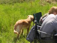 P6040015.JPG - 2006:06:04 14:21:08