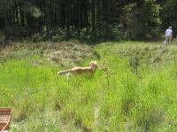 P6040018.JPG - 2006:06:04 14:21:25