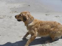 P6040028.JPG - 2006:06:04 14:44:13