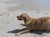 P6040029.JPG - 2006:06:04 14:44:13