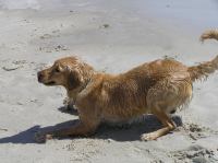 P6040030.JPG - 2006:06:04 14:44:14