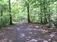 P6070038.JPG - 2006:06:07 16:44:48