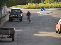 P6070114.JPG - 2006:06:07 19:54:41