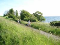 Image029.jpg - 2006:06:07 17:36:54