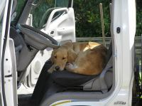 P6080142.JPG - 2006:06:08 11:29:21