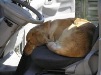 P6080145.JPG - 2006:06:08 11:29:43