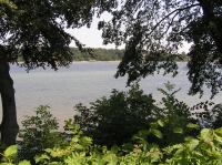 P7030009.JPG - 2006:07:03 12:23:21