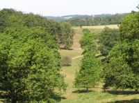 P7050076.JPG - 2006:07:05 11:18:35