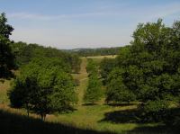 P7050079.JPG - 2006:07:05 11:18:58