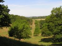 P7050080.JPG - 2006:07:05 11:19:21