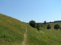 P7050082.JPG - 2006:07:05 11:40:09