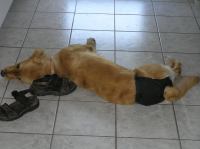 P7170113.JPG - 2006:07:17 16:53:02