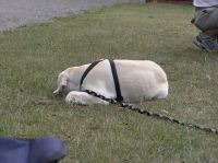 P8050002.JPG - 2006:08:05 15:11:02