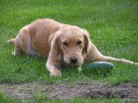 P8180004.JPG - 2006:08:18 07:43:16