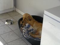 P9100032.JPG - 2006:09:10 18:00:29