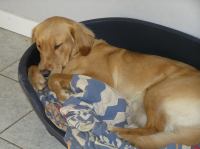 P9100033.JPG - 2006:09:10 18:00:44