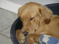 P9100034.JPG - 2006:09:10 18:00:56