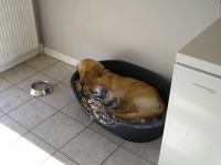 P9100035.JPG - 2006:09:10 18:01:07