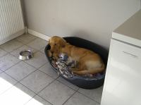 P9100036.JPG - 2006:09:10 18:01:08