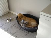 P9100037.JPG - 2006:09:10 18:01:08