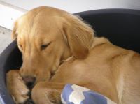 P9100038.JPG - 2006:09:10 18:01:23