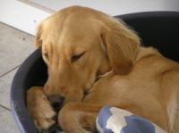 P9100039.JPG - 2006:09:10 18:01:27