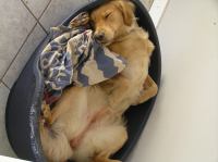 P9100040.JPG - 2006:09:10 18:04:42