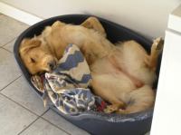 P9100041.JPG - 2006:09:10 18:04:44