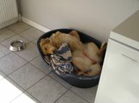 P9100042.JPG - 2006:09:10 18:04:50