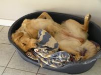 P9100043.JPG - 2006:09:10 18:04:57