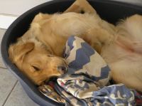 P9100044.JPG - 2006:09:10 18:05:07