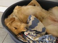 P9100045.JPG - 2006:09:10 18:05:07