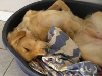 P9100046.JPG - 2006:09:10 18:05:08