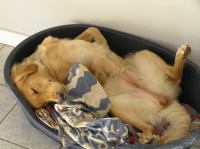 P9100047.JPG - 2006:09:10 18:05:19