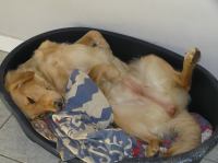 P9100048.JPG - 2006:09:10 18:05:25