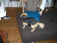 P9230029.JPG - 2006:09:23 18:11:16