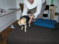 P9230030.JPG - 2006:09:23 18:11:24