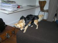 P9230031.JPG - 2006:09:23 18:11:27