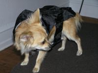 P9230032.JPG - 2006:09:23 18:11:33