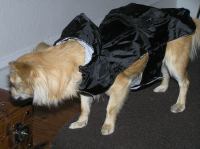 P9230033.JPG - 2006:09:23 18:11:41