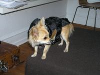 P9230034.JPG - 2006:09:23 18:11:47