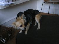 P9230035.JPG - 2006:09:23 18:11:59