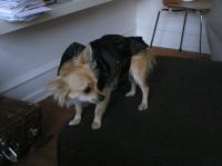 P9230036.JPG - 2006:09:23 18:12:00