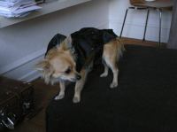 P9230037.JPG - 2006:09:23 18:12:00