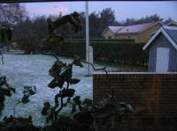 PB010101.JPG - 2006:11:01 17:30:23