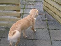 PB230129.JPG - 2006:11:23 12:28:49