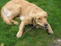 PB230130.JPG - 2006:11:23 12:28:59