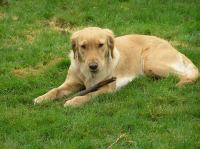 PB230131.JPG - 2006:11:23 12:30:12